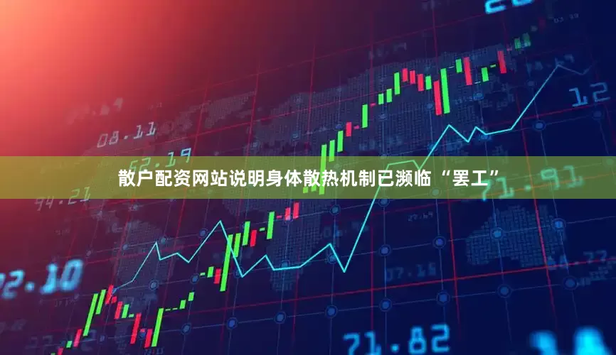 散户配资网站说明身体散热机制已濒临 “罢工”